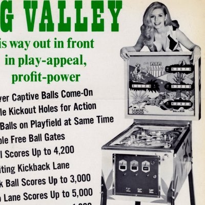 bally, big valley, pinball, sales, price, date, city, condition, auction, ebay, private sale, retail sale, pinball machine, pinball price