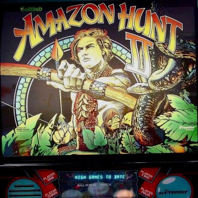 gottlieb, amazon hunt II, pinball, sales, price, date, city, condition, auction, ebay, private sale, retail sale, pinball machine, pinball price