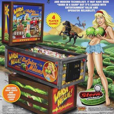stern, whoa nellie big juicy melons, pinball, sales, price, date, city, condition, auction, ebay, private sale, retail sale, pinball machine, pinball price