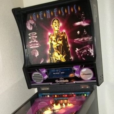 gottlieb, genesis, pinball, sales, price, date, city, condition, auction, ebay, private sale, retail sale, pinball machine, pinball price
